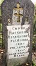 Захоронение ID 1332835