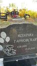 Захоронение ID 1336310