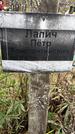 Захоронение ID 1336749