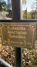 Захоронение ID 1338140