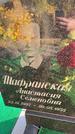 Захоронение ID 1338241