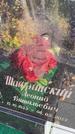 Захоронение ID 1338242