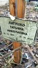 Захоронение ID 1348770