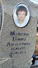 Захоронение ID 1349182