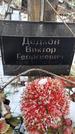 Захоронение ID 1349925