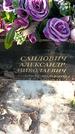 Захоронение ID 1350679