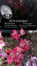Захоронение ID 1350713