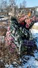 Захоронение ID 1351541