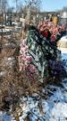 Захоронение ID 1351542
