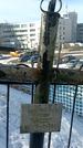 Захоронение ID 1351700