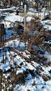 Захоронение ID 1351850