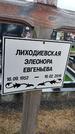 Захоронение ID 1352945