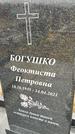 Захоронение ID 1353497