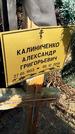 Захоронение ID 1353884