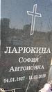 Захоронение ID 1354369