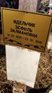Захоронение ID 1354432