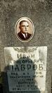 Захоронение ID 1355004
