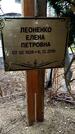 Захоронение ID 1355734