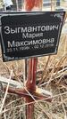 Захоронение ID 1356164