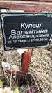 Захоронение ID 1356305