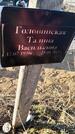 Захоронение ID 1356889