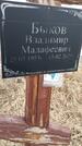 Захоронение ID 1357156