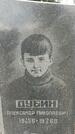 Захоронение ID 1357925