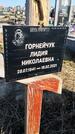 Захоронение ID 1358559