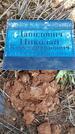 Захоронение ID 1359632