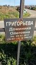 Захоронение ID 1359880