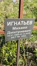 Захоронение ID 1359913