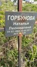 Захоронение ID 1359920