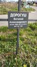 Захоронение ID 1359928