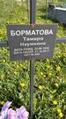 Захоронение ID 1359948