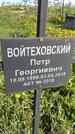 Захоронение ID 1359955