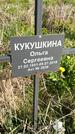 Захоронение ID 1359968