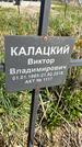 Захоронение ID 1359980