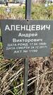 Захоронение ID 1359982