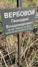 Захоронение ID 1359983