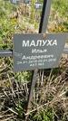 Захоронение ID 1359984