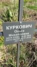 Захоронение ID 1359985