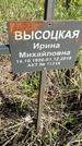Захоронение ID 1359989