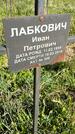 Захоронение ID 1359998