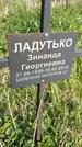 Захоронение ID 1360001