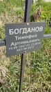 Захоронение ID 1360006