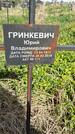 Захоронение ID 1360028