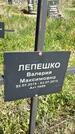 Захоронение ID 1360038