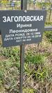 Захоронение ID 1360127