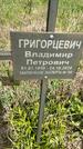 Захоронение ID 1360136
