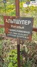 Захоронение ID 1360197